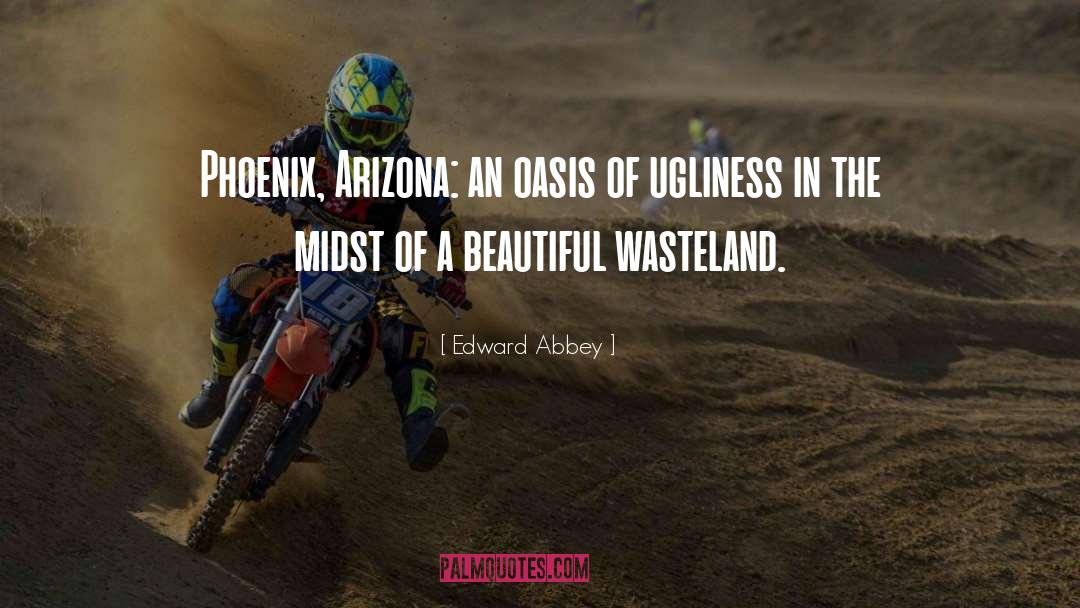 Wasteland quotes by Edward Abbey