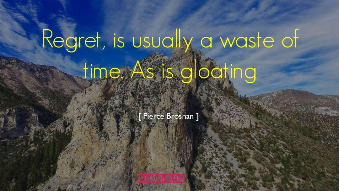 Wasting Time quotes by Pierce Brosnan