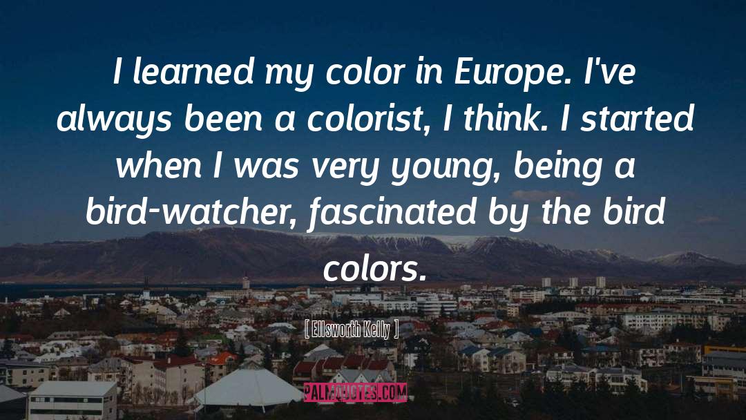 Watcher quotes by Ellsworth Kelly