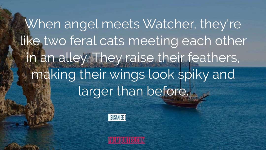 Watcher quotes by Susan Ee