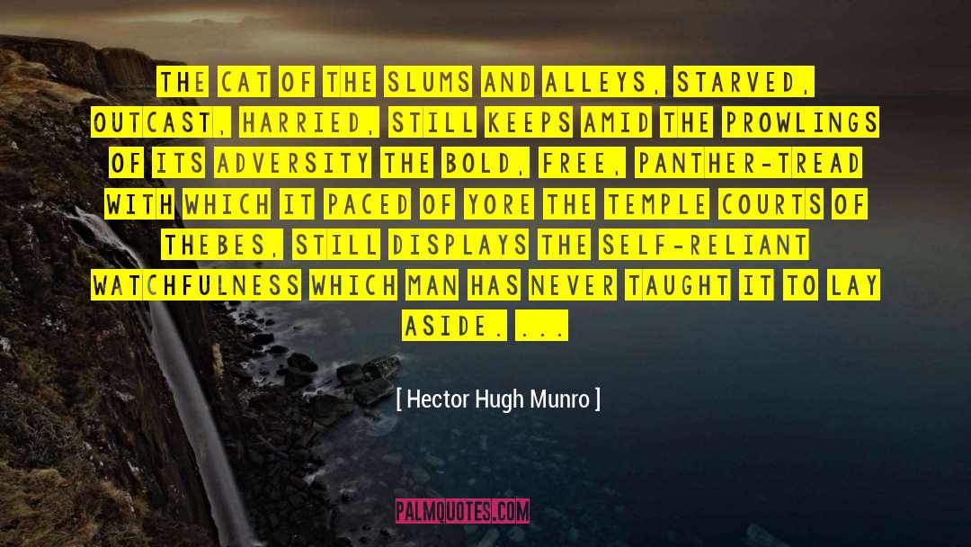 Watchfulness quotes by Hector Hugh Munro