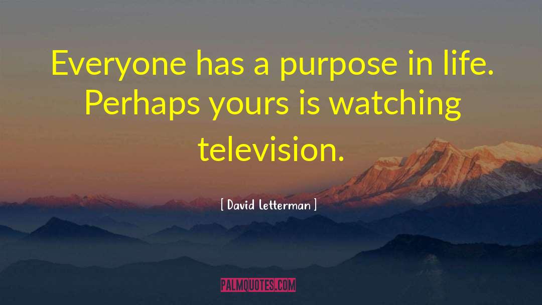 Watching Television quotes by David Letterman