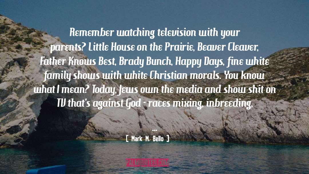 Watching Television quotes by Mark M. Bello