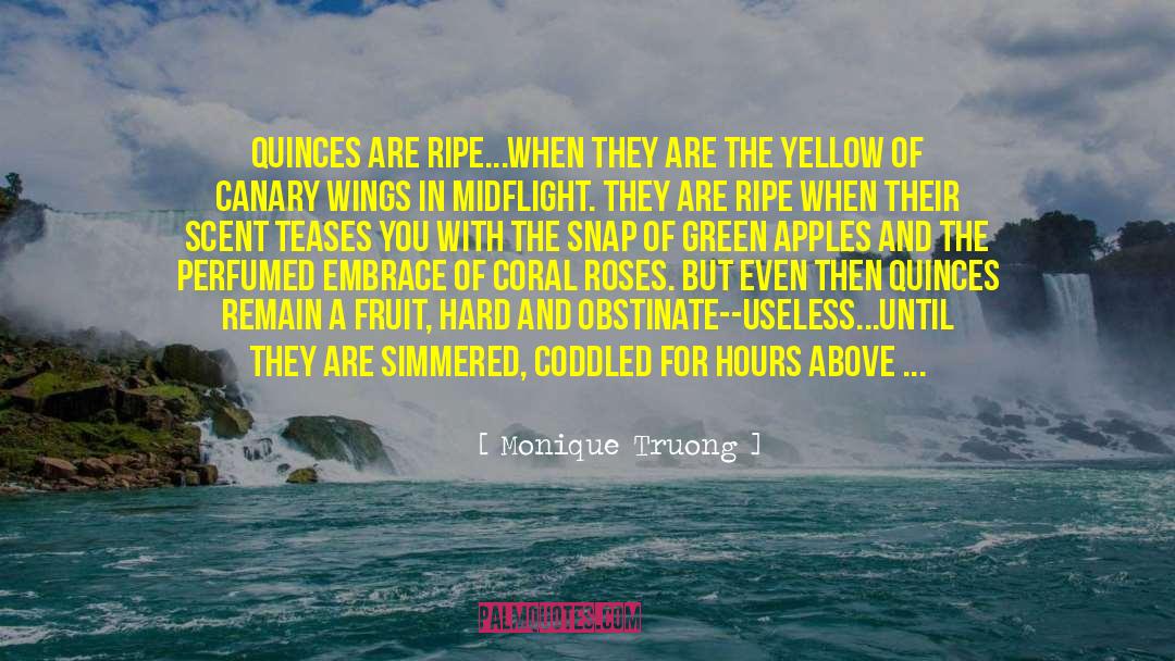 Water Bending quotes by Monique Truong