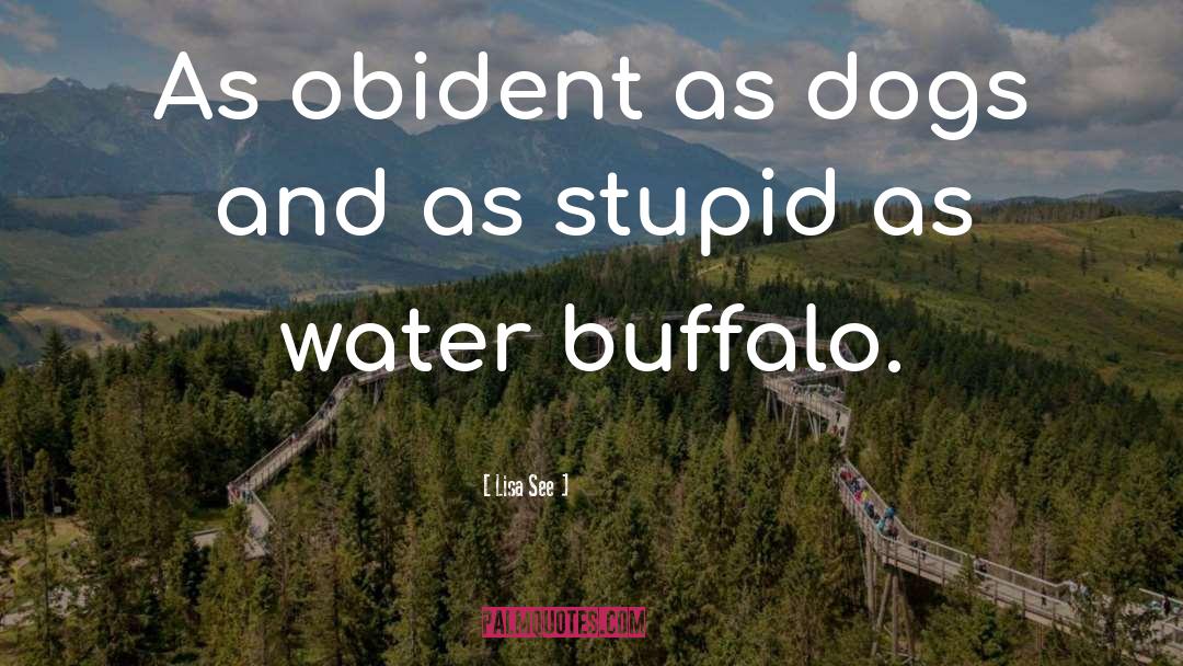Water Buffalo quotes by Lisa See