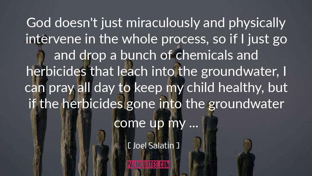 Water Child quotes by Joel Salatin