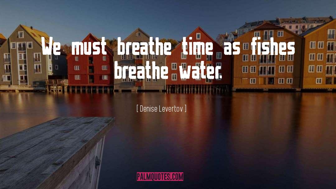 Water Conservation quotes by Denise Levertov