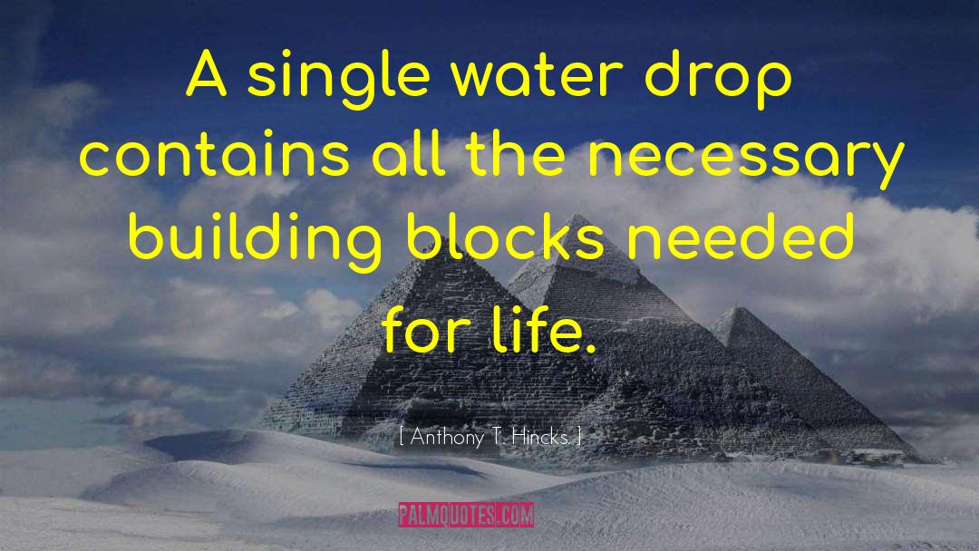 Water Drop quotes by Anthony T. Hincks.