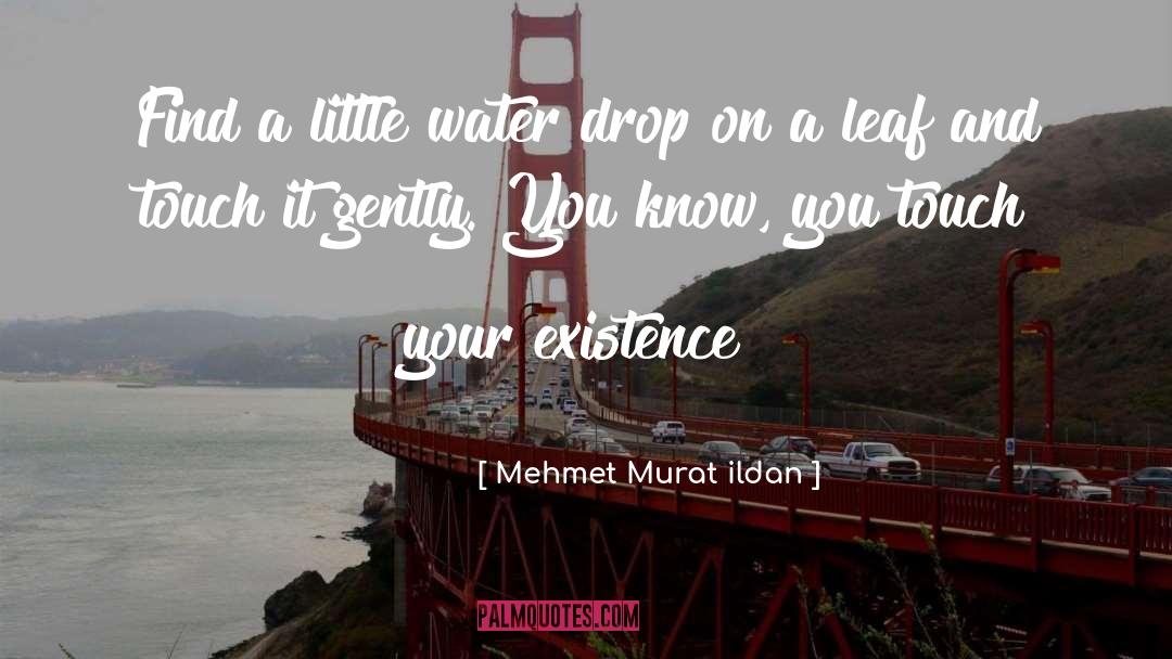 Water Drop quotes by Mehmet Murat Ildan