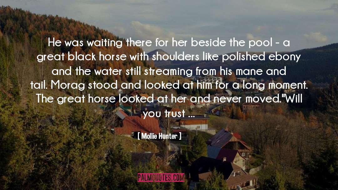 Water Horse quotes by Mollie Hunter