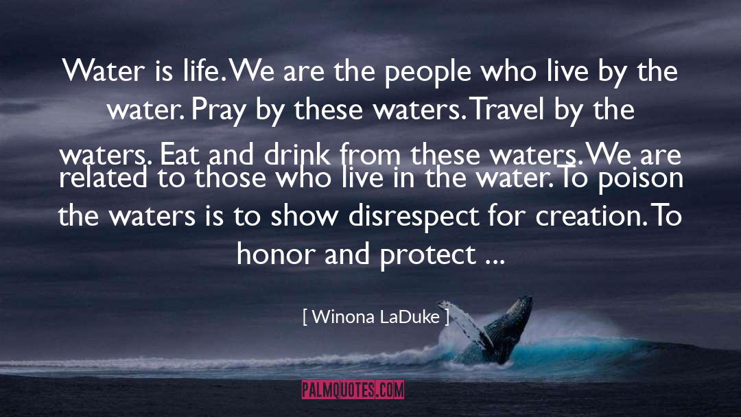 Water Is Life quotes by Winona LaDuke