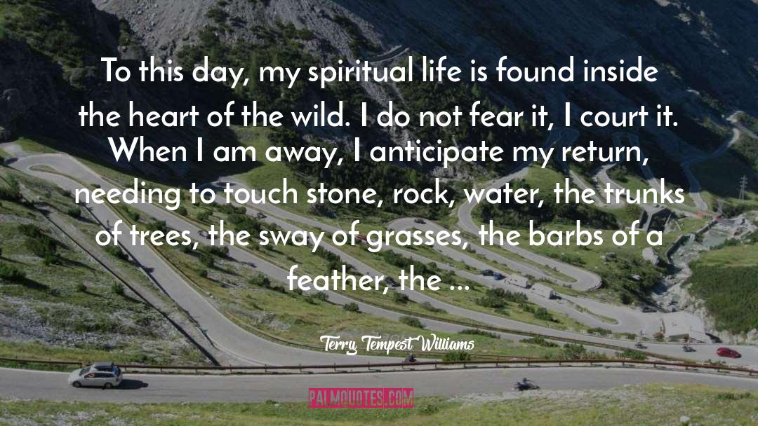 Water Of Humility quotes by Terry Tempest Williams