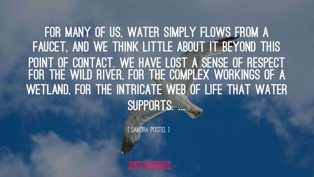 Water Of Life quotes by Sandra Postel