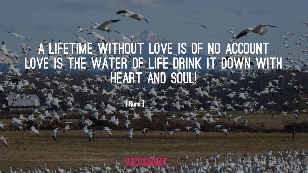 Water Of Life quotes by Rumi