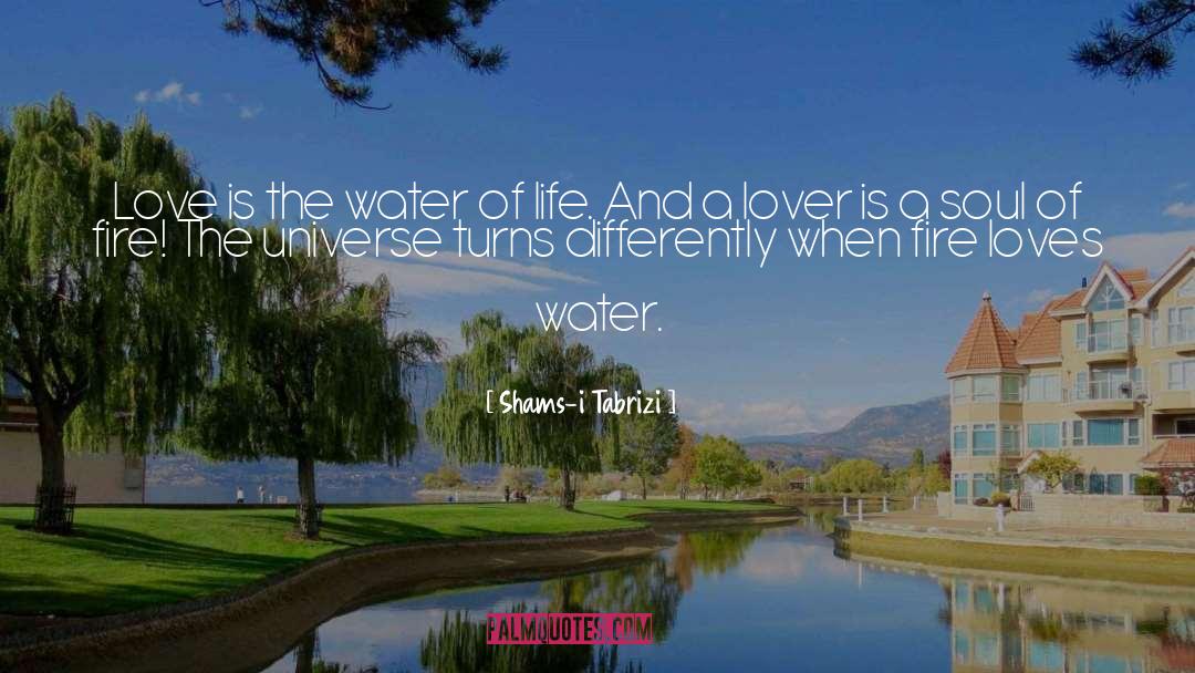 Water quotes by Shams-i Tabrizi