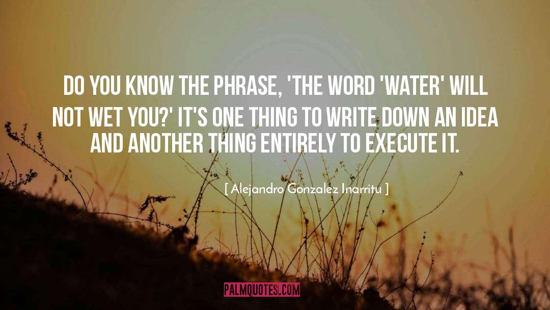 Water quotes by Alejandro Gonzalez Inarritu