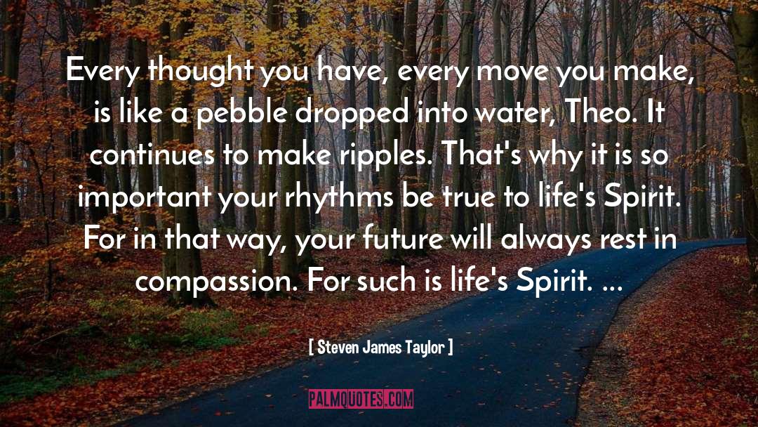 Water Ripple Effect quotes by Steven James Taylor