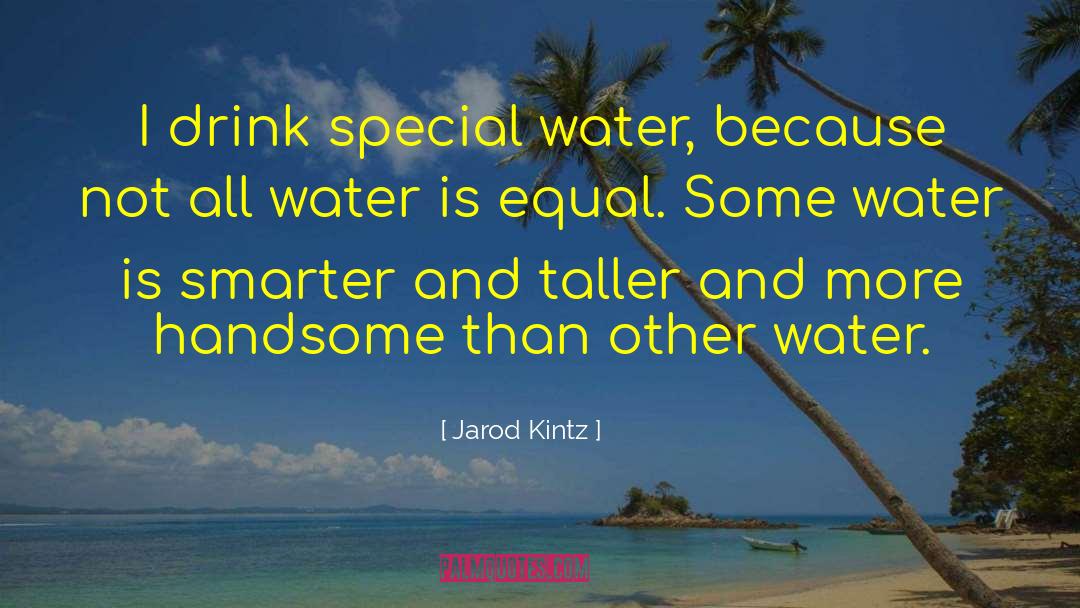 Water Ripple Effect quotes by Jarod Kintz
