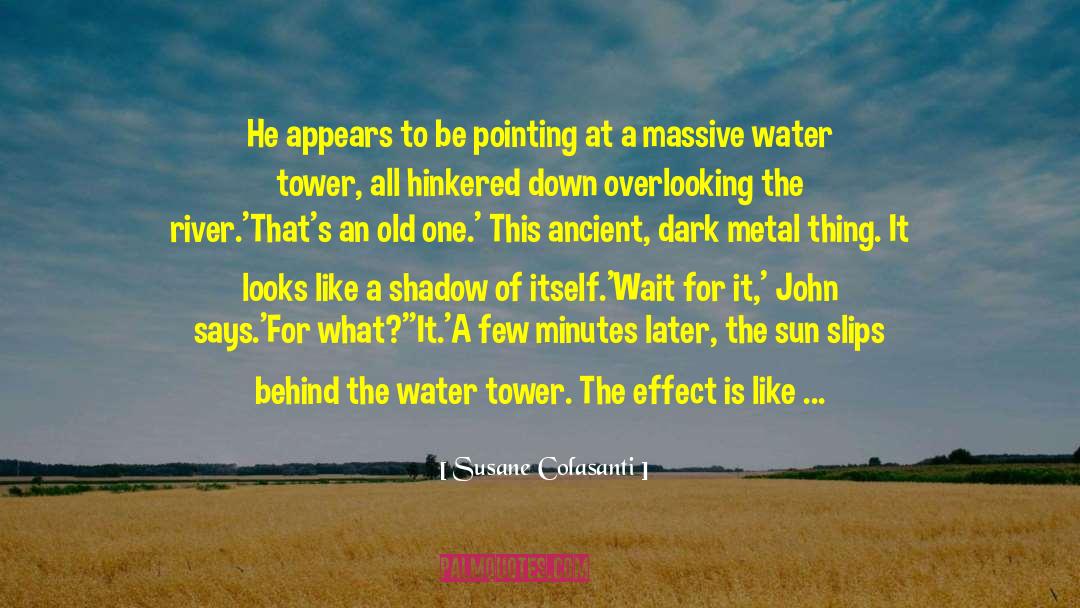 Water Ripple Effect quotes by Susane Colasanti