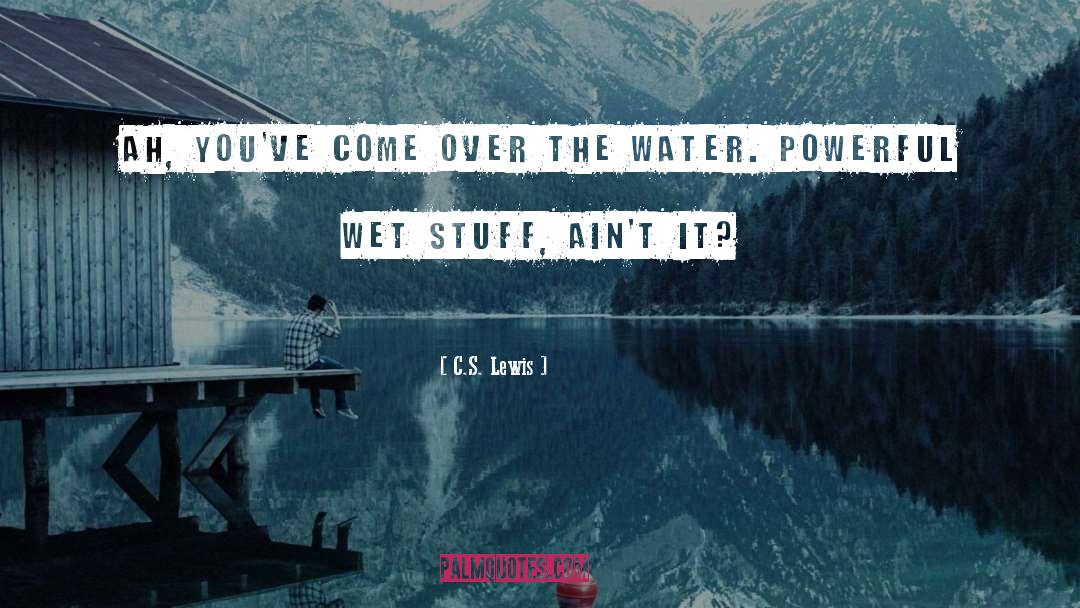 Water S Wrath quotes by C.S. Lewis