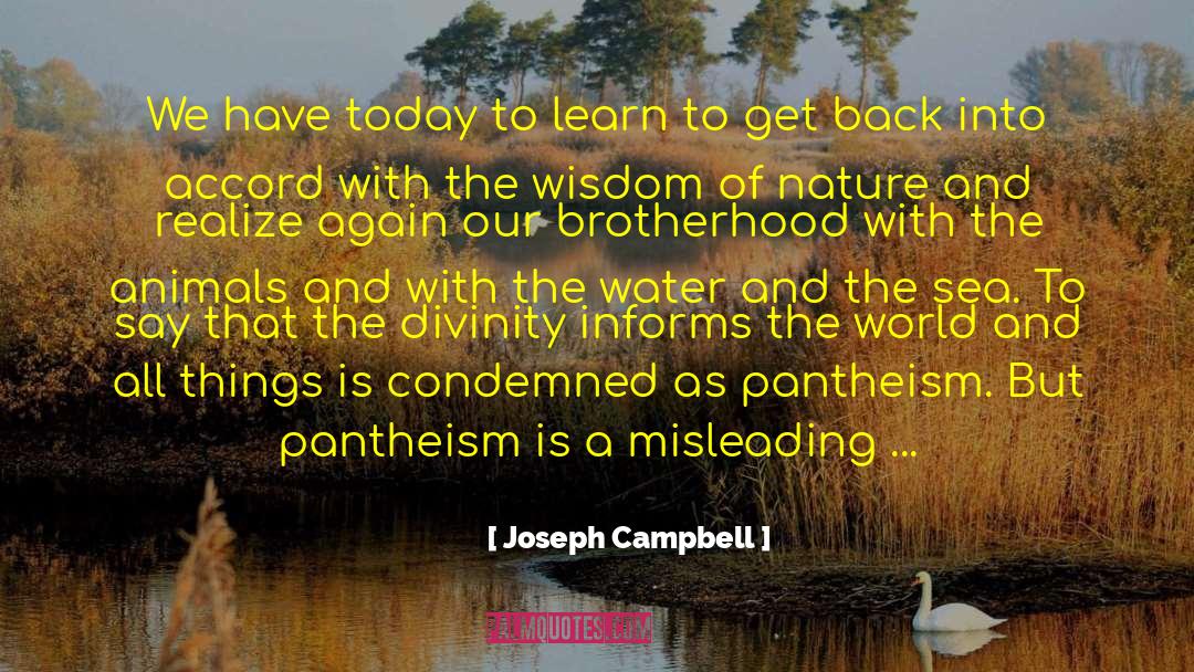 Water Shortage quotes by Joseph Campbell