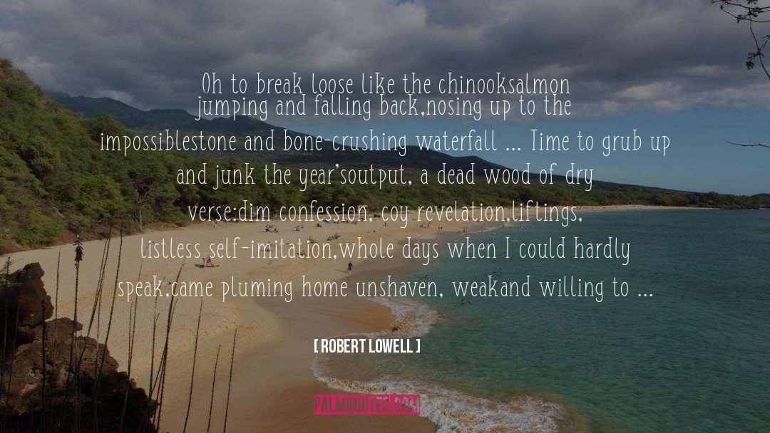 Waterfall quotes by Robert Lowell