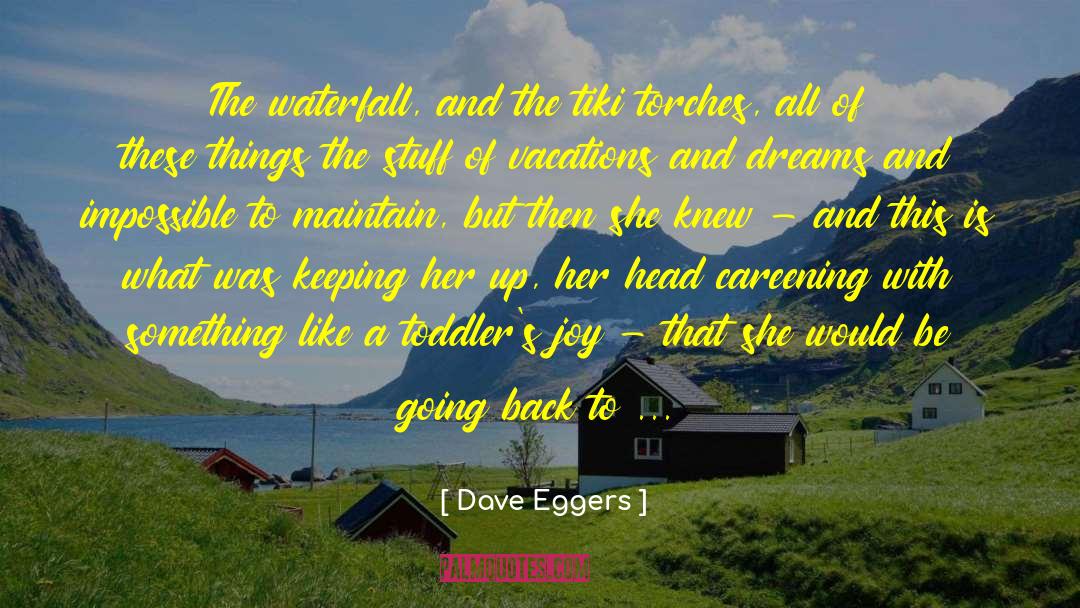 Waterfall quotes by Dave Eggers