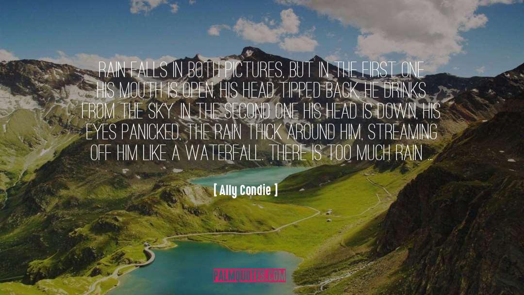 Waterfall quotes by Ally Condie