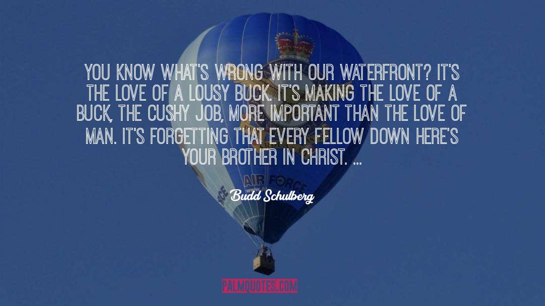 Waterfront quotes by Budd Schulberg