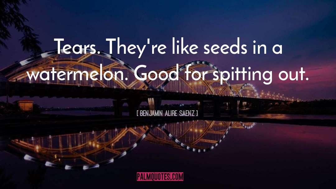 Watermelon quotes by Benjamin Alire Saenz