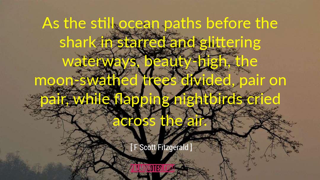 Waterways quotes by F Scott Fitzgerald