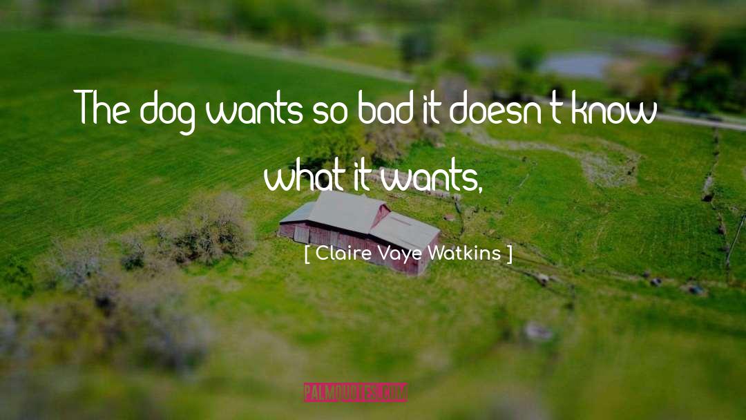 Watkins quotes by Claire Vaye Watkins