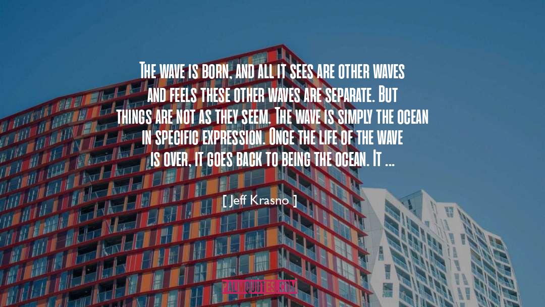 Wave And Life quotes by Jeff Krasno
