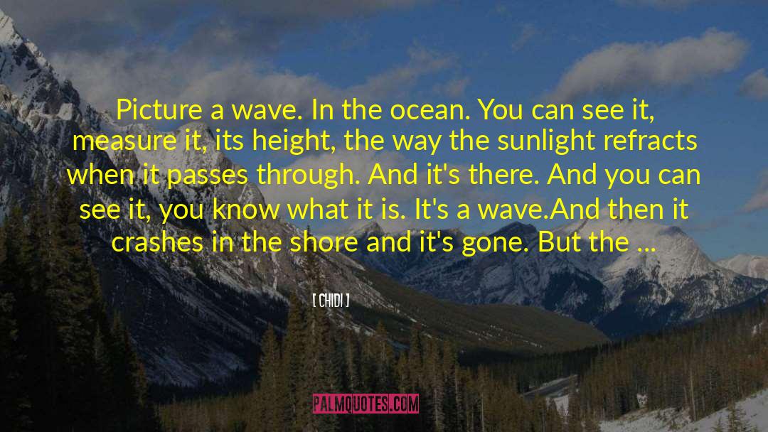 Wave In The Ocean quotes by Chidi