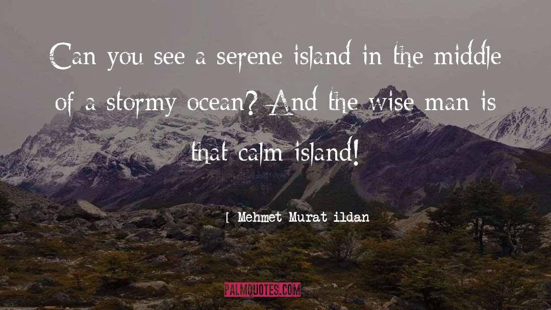 Wave In The Ocean quotes by Mehmet Murat Ildan