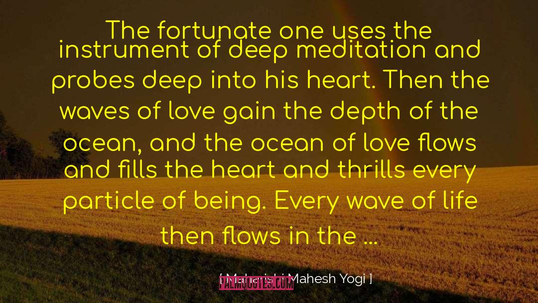 Wave Particle Theory quotes by Maharishi Mahesh Yogi
