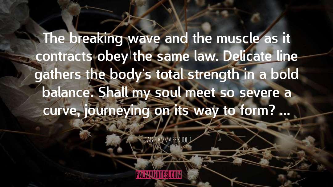 Wave quotes by Dag Hammarskjold