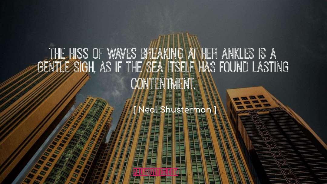 Waves Breaking quotes by Neal Shusterman