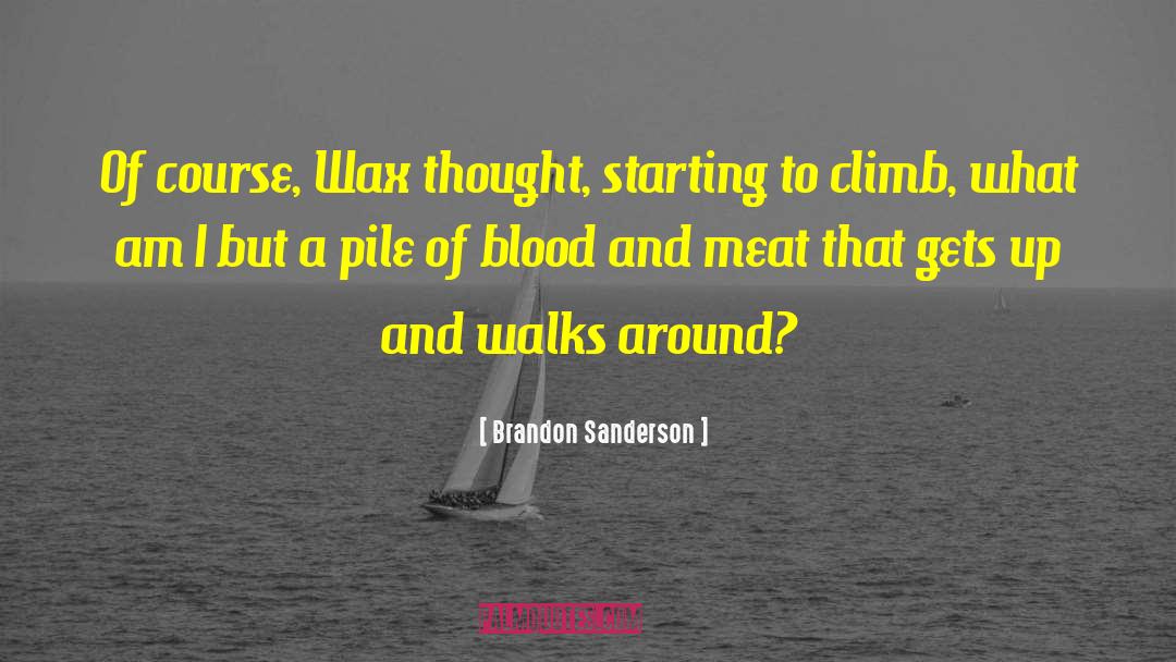 Wax quotes by Brandon Sanderson