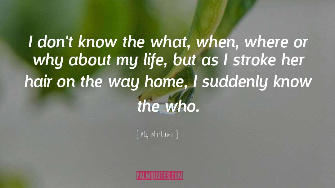 Way Home quotes by Aly Martinez