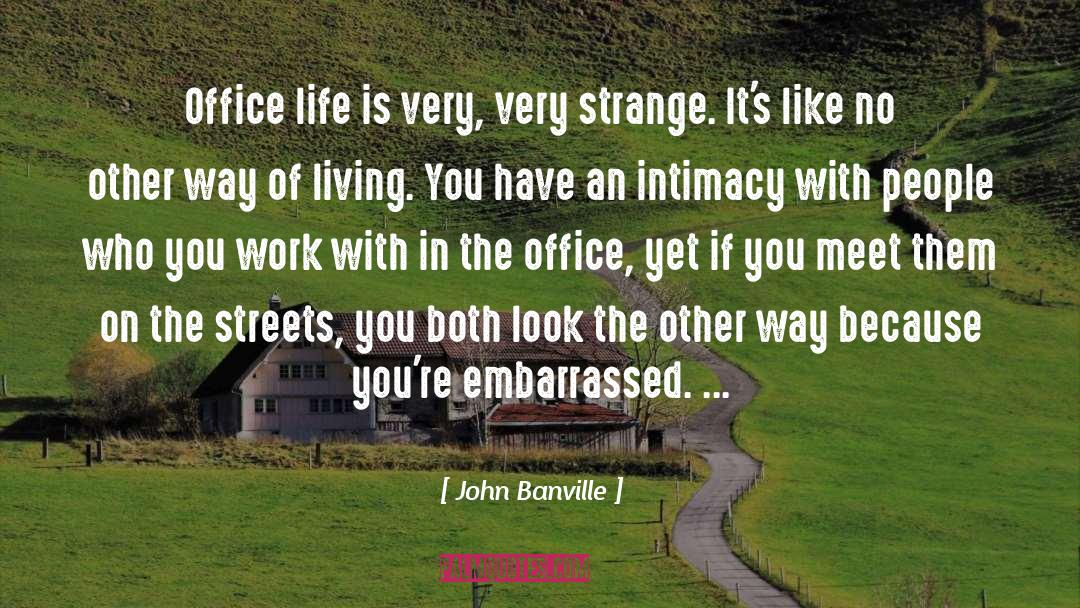 Way Of Living quotes by John Banville