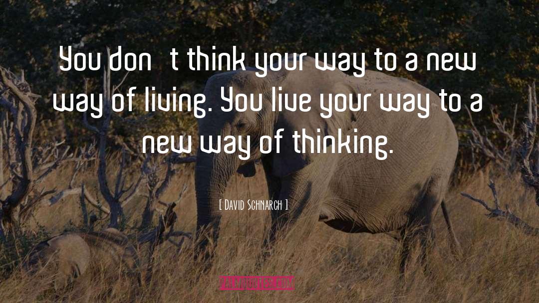 Way Of Living quotes by David Schnarch