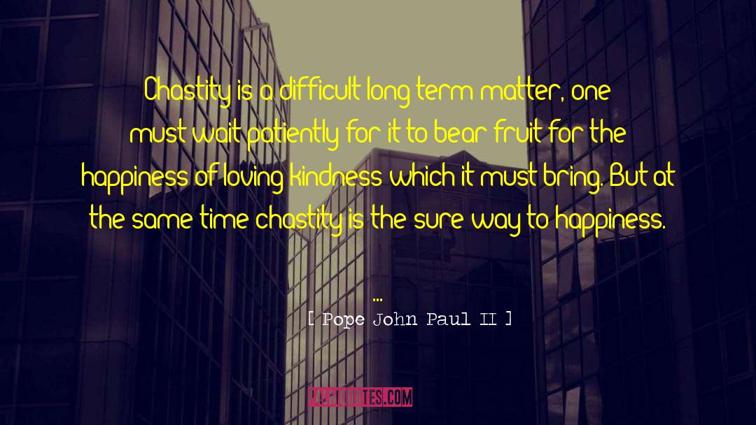 Way To Happiness quotes by Pope John Paul II