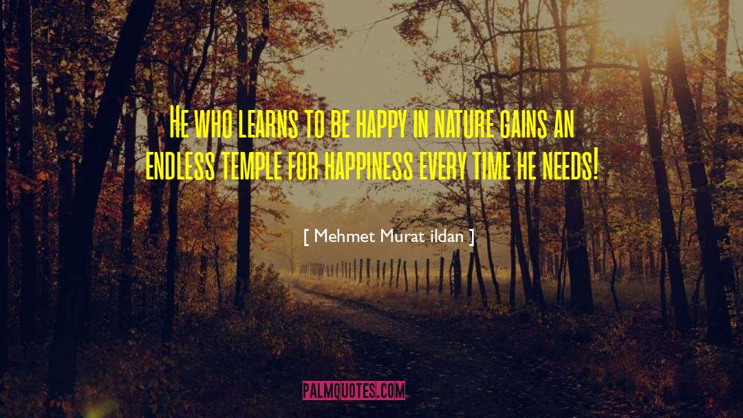 Way To Happy quotes by Mehmet Murat Ildan
