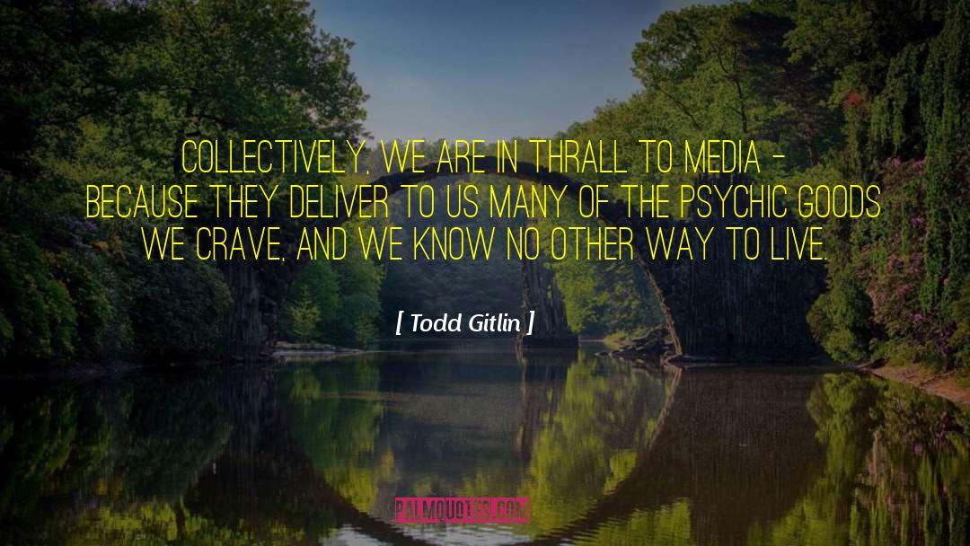 Way To Live quotes by Todd Gitlin