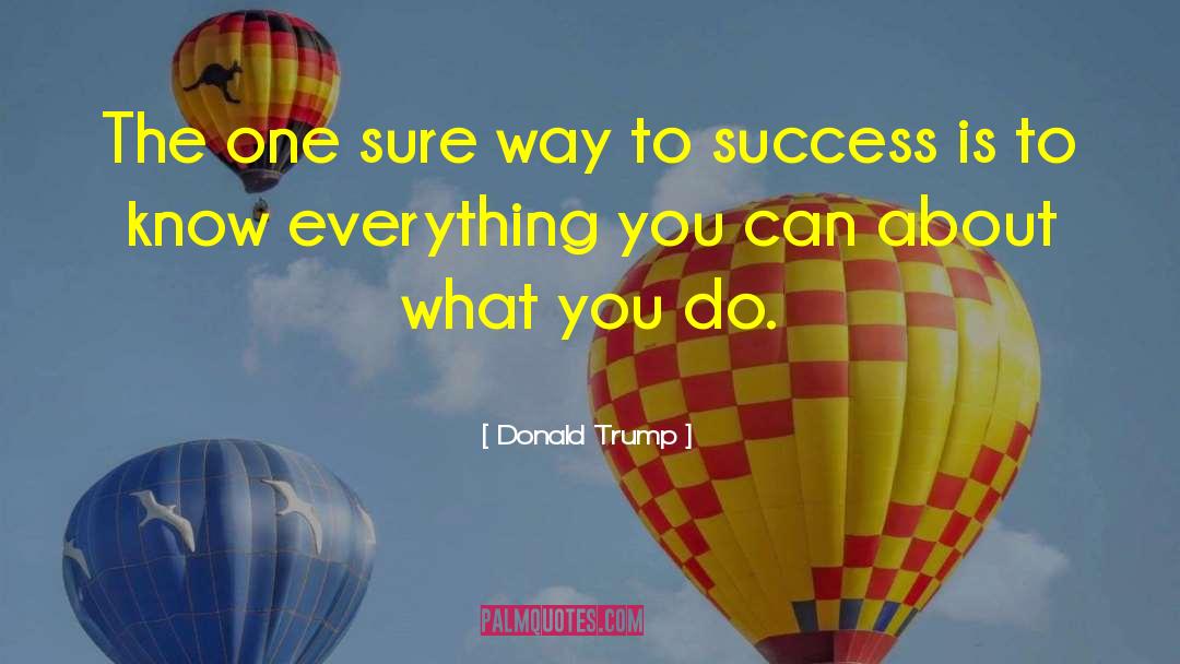 Way To Success quotes by Donald Trump