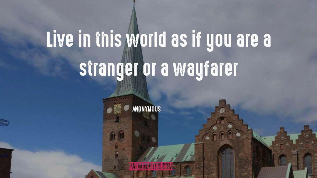 Wayfarer quotes by Anonymous