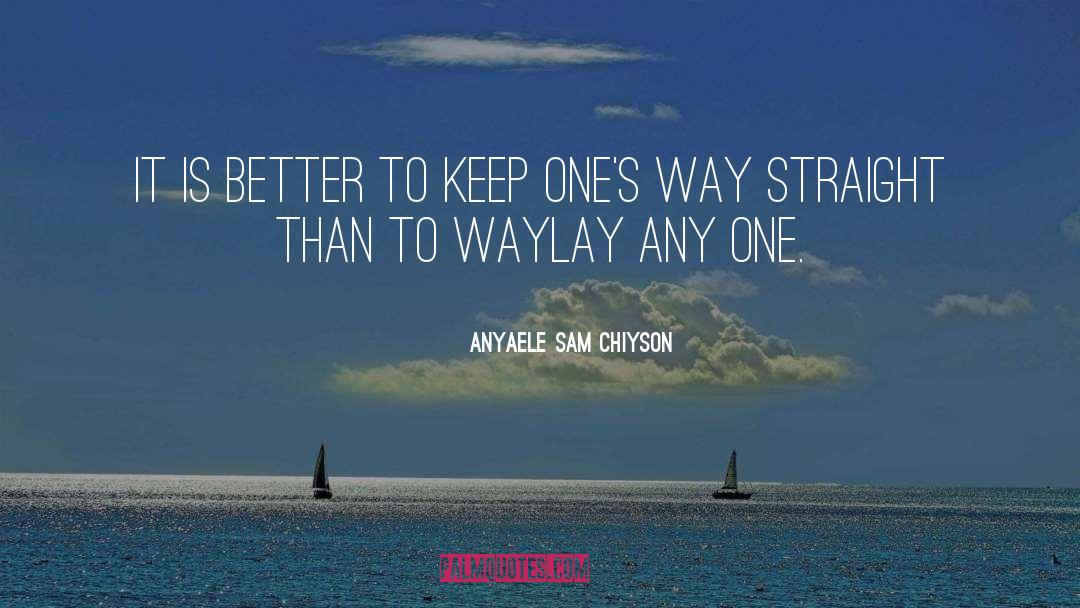 Waylay quotes by Anyaele Sam Chiyson