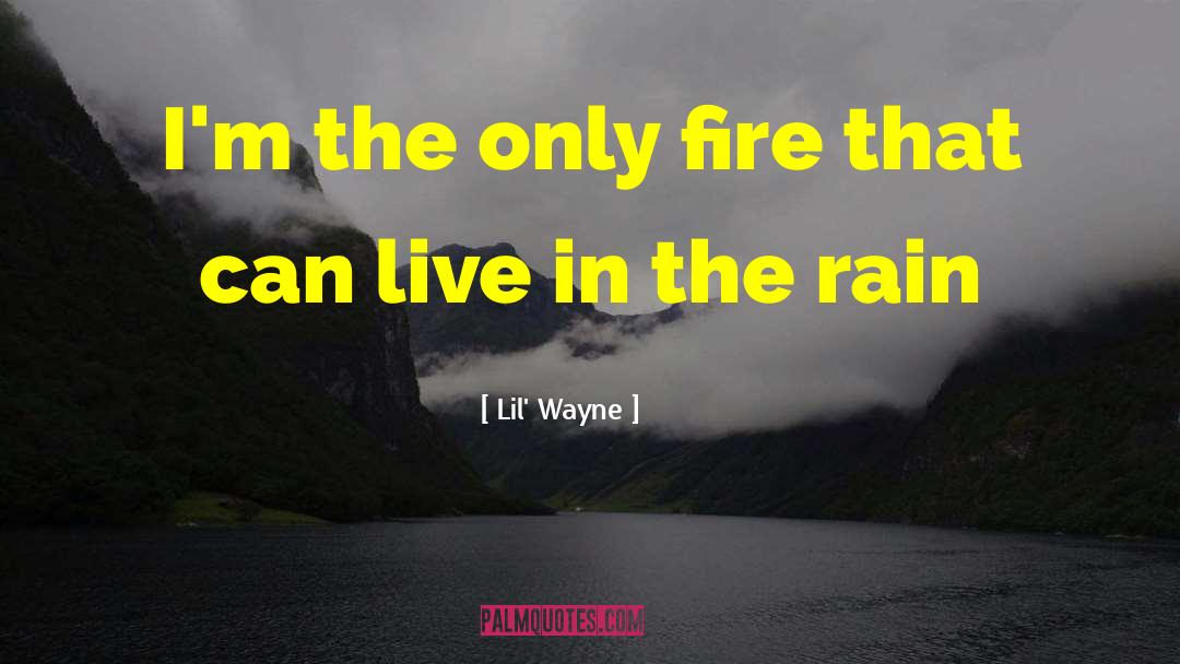 Wayne Coyne quotes by Lil' Wayne