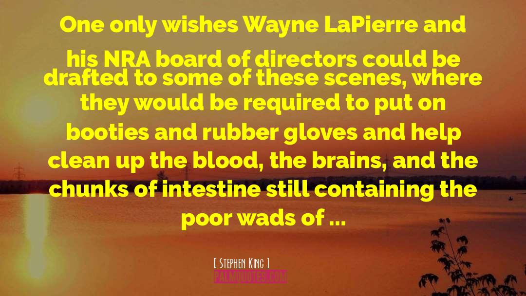 Wayne Lapierre quotes by Stephen King